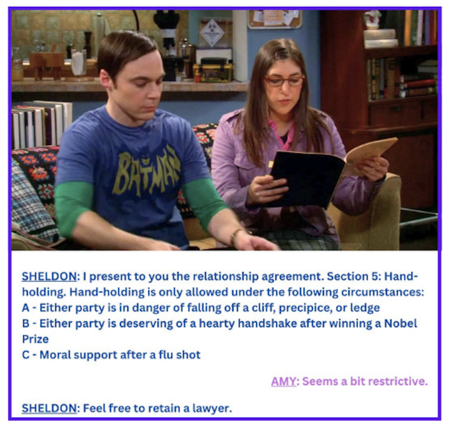 Sheldon Cooper and his relationship contract